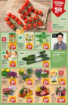 Mais im REWE Prospekt "Dein Markt" mit 32 Seiten (Frankfurt (Main))