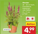 Stauden Angebote bei Netto Marken-Discount Erfurt für 4,99 €
