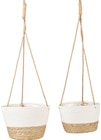 Set hängende Pflanzenkörbe Angebote bei Penny Saarbrücken für 9,99 €