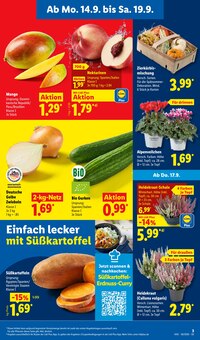 Gemüse im aktuellen Lidl Prospekt (Chemnitz) Gemüse im Lidl Prospekt "LIDL LOHNT SICH" mit 71 Seiten (Chemnitz)