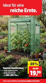 Aktueller Thomas Philipps Prospekt mit Tomaten, "Top Angebote", Seite 3