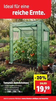 Tomaten im Thomas Philipps Prospekt "Top Angebote" mit 21 Seiten (Heidelberg)