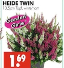 Wreesmann - HEIDE TWIN Angebot im Prospekt HEIDE TWIN bei Wreesmann im Prospekt "" für 1,69 €