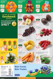 Aktueller GLOBUS Prospekt mit Mango, "Aktuelle Angebote", Seite 8