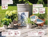 Aktuelle Blumentopf Angebote bei Garten-Center Nordharz GmbH & Co. KG in Hildesheim Aktuelles Maritimes Bild Angebot bei Garten-Center Nordharz GmbH & Co. KG in Hildesheim ab 7,99 €