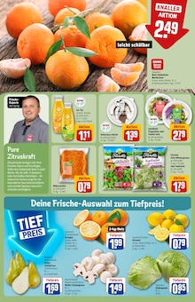 Teppich im REWE Prospekt "Dein Markt" mit 32 Seiten (Offenbach (Main))