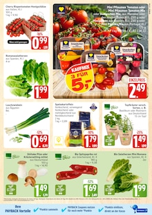 Rosmarin im aktuellen E center Prospekt (Rostock) Rosmarin im E center Prospekt "Top Angebote" mit 44 Seiten (Rostock)