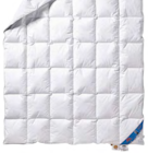 Daunendecke „Schwarzwald“ Angebote bei AWG Bautzen für 159,99 €