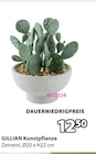 GILLIAN Kunstpflanze  im aktuellen JYSK Prospekt für 12,50 €