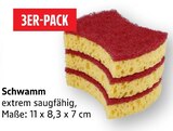 Schwamm bei E center im Nürtingen Prospekt für 1,00 €