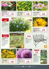 Aktueller BBM Baumarkt Prospekt mit Gartenbank, "So schön kann Baumarkt sein", Seite 2