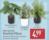 Künstliche Pflanze Monstera grün von HOME CREATION im aktuellen ALDI Nord Prospekt