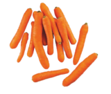 Promo CAROTTES à 0,99 € dans le catalogue Aldi à Saint-Marcel-lès-Valence