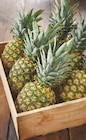 Intermarché Saint-Germain-la-Gâtine - Promo Ananas Promo Ananas à 1,49 € dans le catalogue Intermarché à Saint-Germain-la-Gâtine