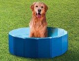 Piscine pliable pour chien - B&M à Valenciennes Piscine pliable pour chien en promo chez B&M Valenciennes à 7,99 €