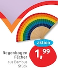Regenbogen Fächer für 1,99 € bei budni im Angebot Regenbogen Fächer im aktuellen budni Prospekt