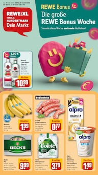 REWE Kaisersesch Prospekt der aktuellen Woche, gültig von 13.10.2025 bis 18.10.2025 Aktueller REWE Kaisersesch Prospekt "Dein Markt" mit 29 Seiten