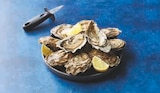 Huitres fines de Bretagne - U en promo chez Super U Metz à 8,91 €