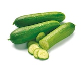 Minigurken im aktuellen Netto mit dem Scottie Prospekt