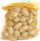XXL-Sack Deutsche Speisekartoffeln im Angebot bei Thomas Philipps in Hildesheim XXL-Sack Deutsche Speisekartoffeln Angebote bei Thomas Philipps Hildesheim für 5,55 €