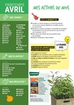 Plant De Tomates Plant De Tomates