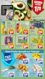 REWE Kohle im Prospekt 