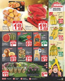 Blumen Angebot & Preis im aktuellen EDEKA Prospekt Blumen Angebot im aktuellen EDEKA Prospekt auf Seite 3
