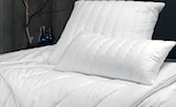 Aktuelle Kopfkissen Angebote bei Möbel Wallach in Hannover Aktuelles Kopfkissen Angebot bei Möbel Wallach in Hannover ab 24,95 €