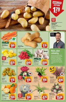 Rindfleisch im REWE Prospekt "Dein Markt" mit 34 Seiten (Chemnitz)