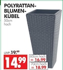 Polyrattan-Blumenkübel im Angebot bei Wreesmann in Aurich Polyrattan-Blumenkübel Angebote bei Wreesmann Aurich für 14,99 €
