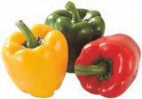 Paprika-Mix Angebote von Gut & Günstig bei EDEKA Augsburg für 1,49 €