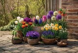 Blumenzwiebeln im Angebot bei Netto mit dem Scottie in Schwerin Blumenzwiebeln Angebote bei Netto mit dem Scottie Schwerin für 0,99 €