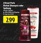 EDEKA Elbtal Prospekt mit  im Angebot für 