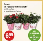 Rosen bei V-Markt im Prospekt "" für 6,99 €