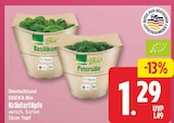 Basilikum von EDEKA Bio für 1,29 € bei EDEKA im Angebot Basilikum von EDEKA Bio im aktuellen EDEKA Prospekt