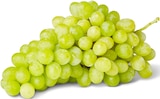 Penny Frankenberg - Helle, kernlose Tafeltrauben Angebot im Prospekt Helle, kernlose Tafeltrauben bei Penny im Frankenberg Prospekt für 0,99 €