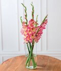 Bouquet de 5 glaïeuls - Hyper U à Saintes Bouquet de 5 glaïeuls en promo chez Hyper U Saintes à 4,99 €