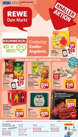 Ähnliche Angebote wie Berliner Pilsener im Prospekt "Dein Markt" auf Seite 1 von REWE in Hamm