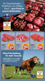 Rinderfilet im REWE Prospekt in Flensburg Aktueller REWE Prospekt mit Rinderfilet, "Dein Markt", Seite 14