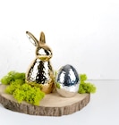 Angebot im Thomas Philipps Erkner Prospekt Thomas Philipps Erkner Prospekt mit im Angebot für 2,98 €