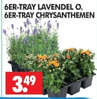 Wreesmann - Lavendel O. Angebot im Prospekt Lavendel O. bei Wreesmann im Prospekt "" für 3,49 €