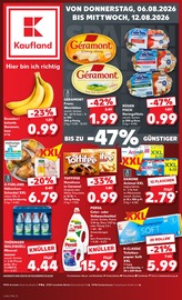 Persil im Kaufland Prospekt in Nordhausen Aktueller Kaufland Prospekt mit Persil, "Hier bin ich richtig", Seite 1