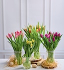 15 Tulipes U - U en promo chez U Express Alès à 6,59 €