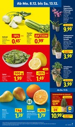 Lidl Pflanzen Winterschutz im Prospekt Lidl Pflanzen Winterschutz im Prospekt