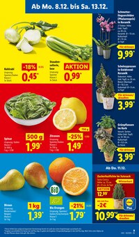 Pflanzen im Lidl Prospekt "LIDL LOHNT SICH" mit 72 Seiten (Solingen (Klingenstadt))