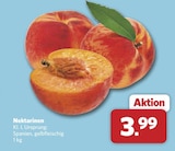 combi Neustadt - Nektarinen Angebot im Prospekt Nektarinen bei combi im Neustadt Prospekt für 3,99 €