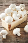 Intermarché Neuville-Saint-Amand - Promo Champignon blanc Promo Champignon blanc à 1,75 € dans le catalogue Intermarché à Neuville-Saint-Amand