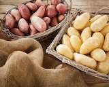 Pomme de terre de consommation à chair ferme à Intermarché Contact dans Serpaize