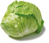 Eisbergsalat von GO Regio für 0,89 € bei Netto mit dem Scottie im Angebot Eisbergsalat von GO Regio im aktuellen Netto mit dem Scottie Prospekt