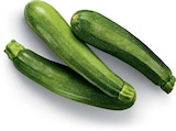Rote Bete im Angebot bei Netto Marken-Discount in Neumünster Rote Bete Angebote von BioBio bei Netto Marken-Discount Neumünster für 1,29 €